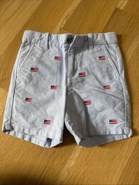 Janie and Jack Light Blue Embroidered Flag Shorts